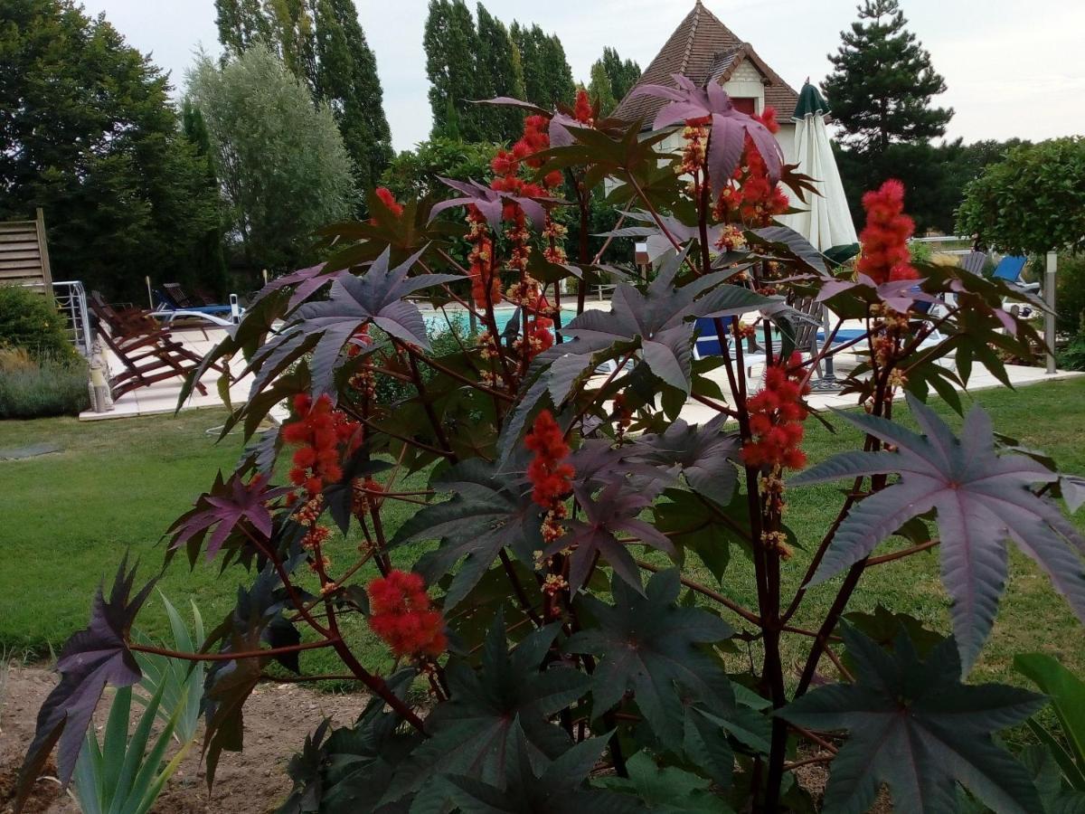 Chambres D'Hotes Au Clos De Beaulieu Bossée Εξωτερικό φωτογραφία